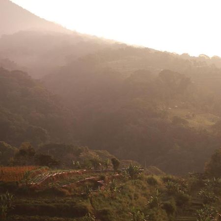 Pondok Kebun Gunung Bedugul  Ngoại thất bức ảnh